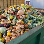 Mundo joga no lixo mais de 1 bilhão de refeições por dia
