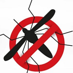 Quase 4 Bilhões de Pessoas Sob Risco de Infecção pelo Aedes: Alerta da OMS